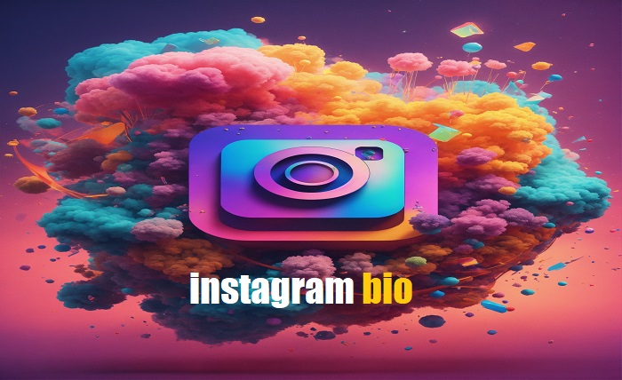 instagram bio